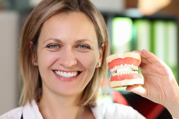 Smiling woman dentist holding model of jaws in her hands closeup female stomathologist shows