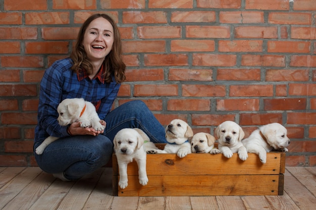 Smiling woman and labrador puppy in wooden basket on brick wall background with copy space for tex