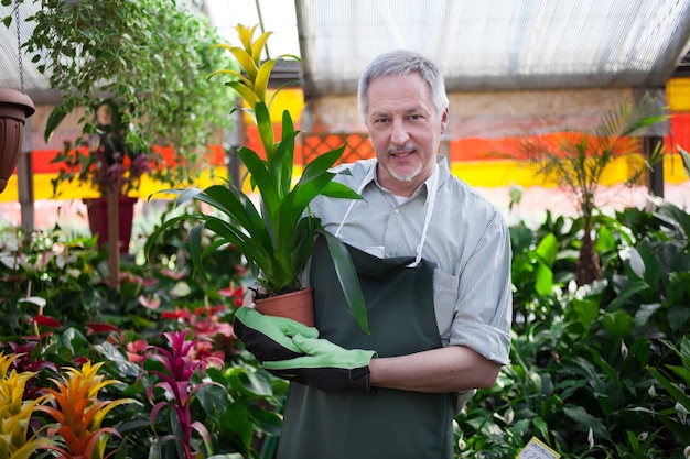 Smiling worker holding a plant in a greenhouse