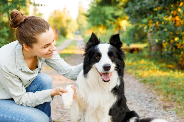 Smiling young attractive woman playing with cute puppy dog border collie on summer outdoor backgroun...