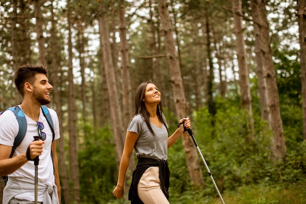 Smiling young couple walking with backpacks in the forest on a summer day