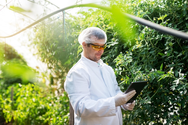 Smiling young farmer looking at the tablet in the greenhouse.