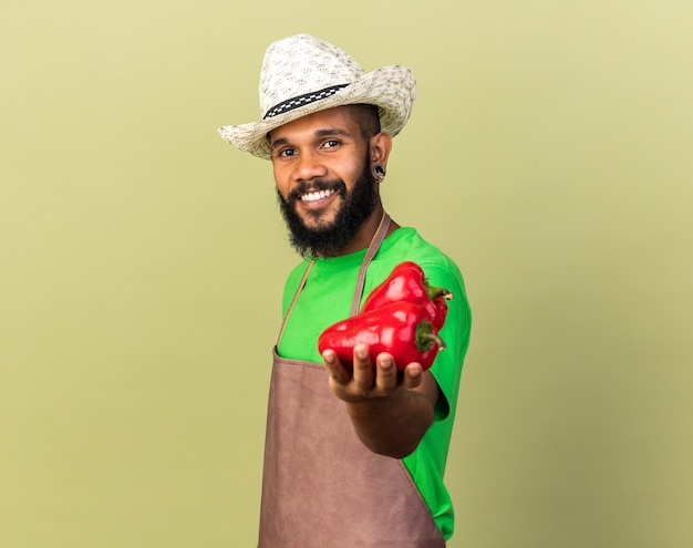 Smiling young gardener afro-american guy wearing gardening hat holding out pepper  isolated on olive green wall