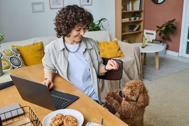 Smiling young woman feeding her dog and playing with it during remote work on laptop