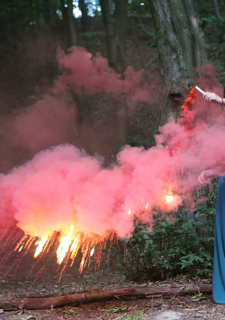 Smoke checker pink color explosion in the hands of a girl