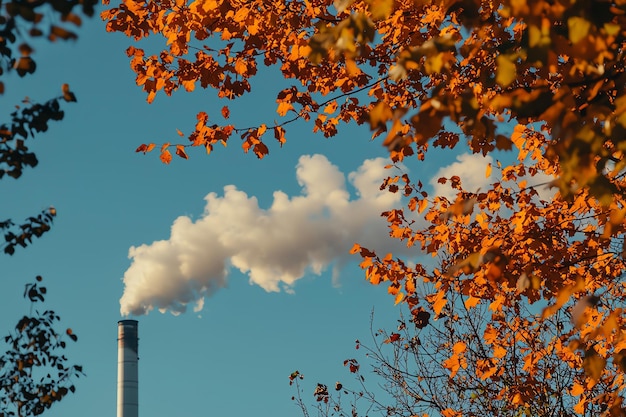 Photo a smoke stack is blowing out of a tree with the word smoke on it