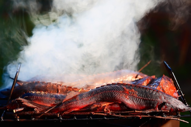 smoked fish sturgeon smoke in the smokehouse