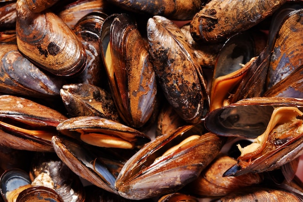 Smoked mussel shells fried in oil Top view