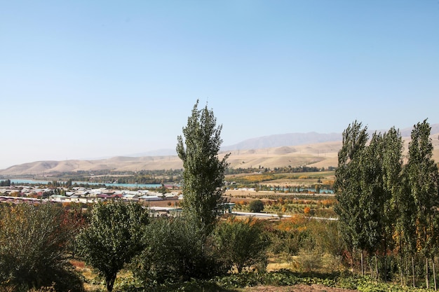 Smooth landscape of houses and trees