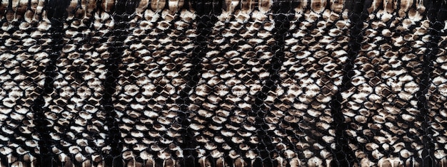 Snake skin texture