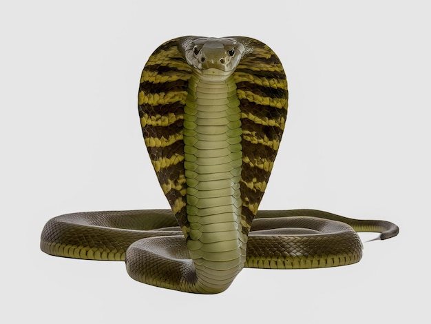 Photo a snake with a yellow stripe on its head is shown