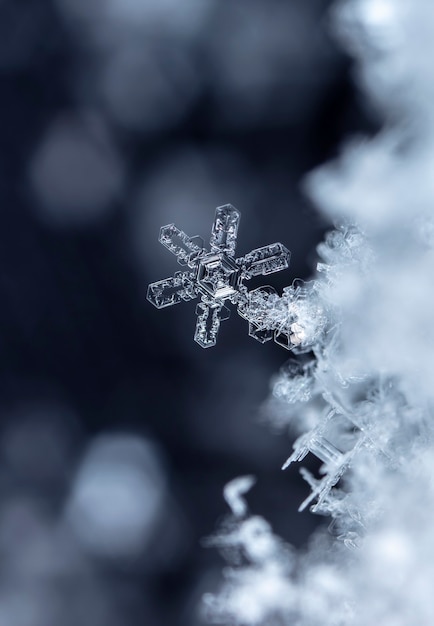 Photo snapshot of a small snowflake taken during a snowfall