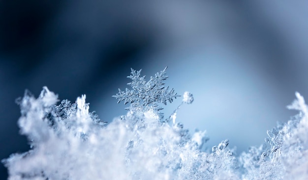 snapshot of a small snowflake taken during a snowfall Winter holidays and Christmas background