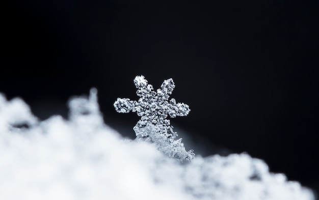 snapshot of a small snowflake taken during a snowfall