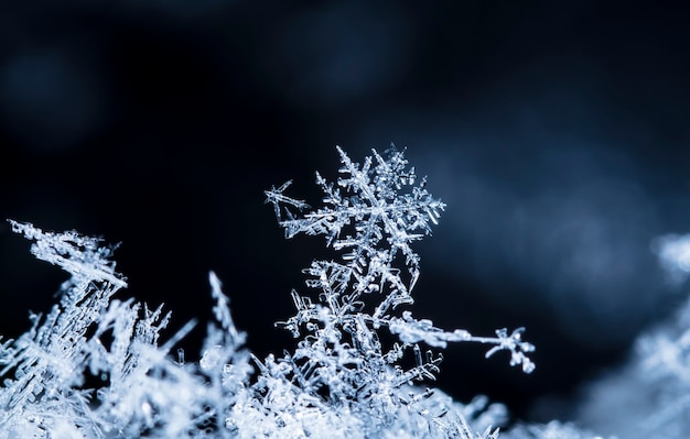 snapshot of a small snowflake taken during a snowfall