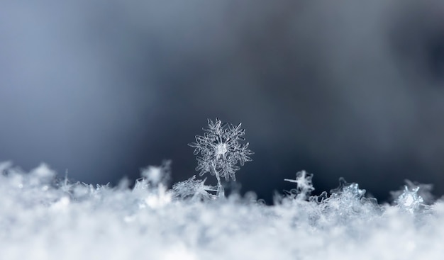 snapshot of a small snowflake taken during a snowfall