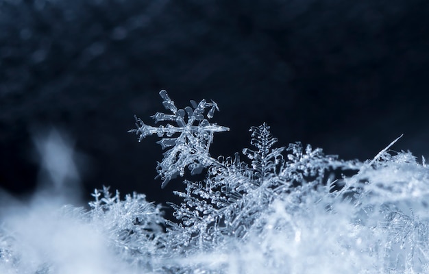 snapshot of a small snowflake taken during a snowfall