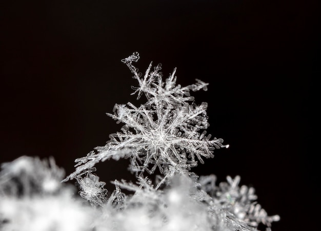 snapshot of a small snowflake taken during a snowfall