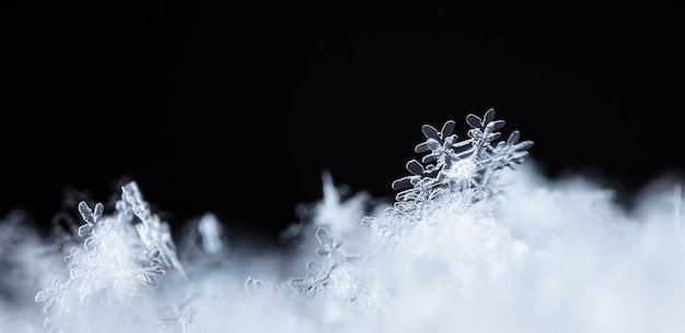 snapshot of a small snowflake taken during a snowfall