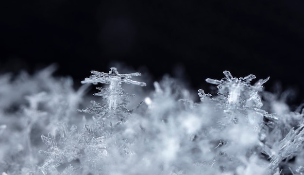 snapshot of a small snowflake taken during a snowfall