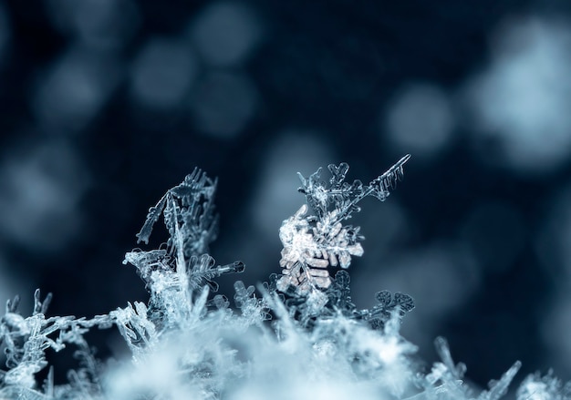 snapshot of a small snowflake taken during a snowfall