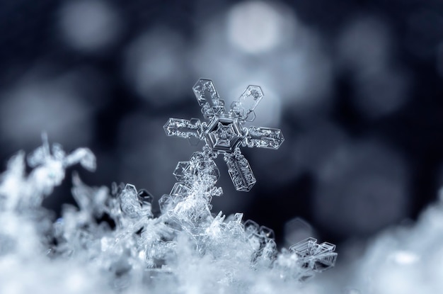 snapshot of a small snowflake taken during a snowfall