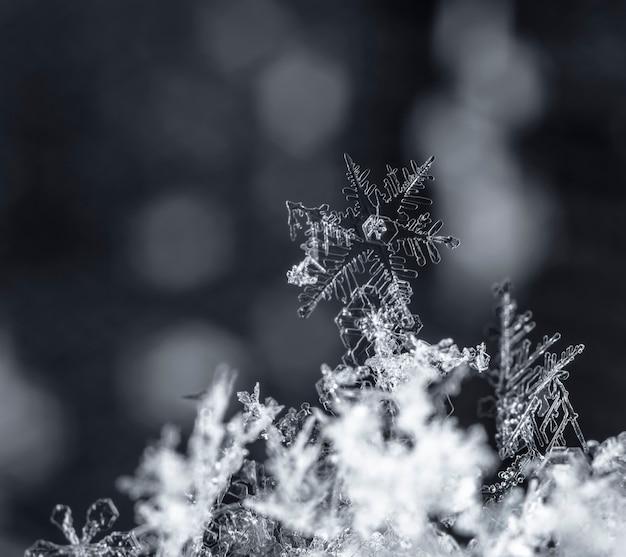 snapshot of a small snowflake taken during a snowfall