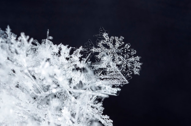 Photo snapshot of a small snowflake taken during a snowfall