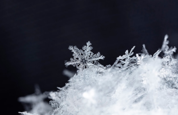 snapshot of a small snowflake taken during a snowfall