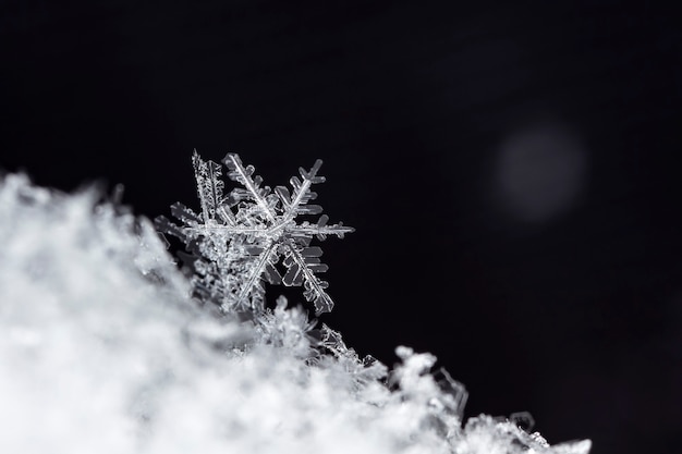 snapshot of a small snowflake taken during a snowfall