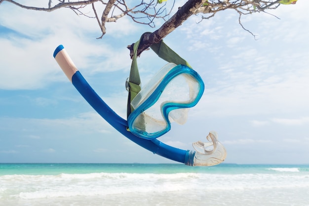 Snorkel Hanging on a branch on the beach. Dive mask and snorkel. Snorkeling equipment on a wooden twig, on the background of the beautiful sea and the beach with white sand. Andaman and Nicobar. India