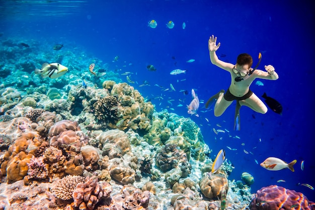 Snorkeler diving along the brain coral. Maldives Indian Ocean coral reef.