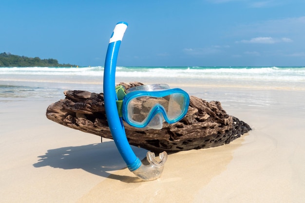 Snorkeling mask on the dry tree wet with