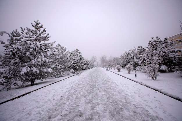 Snow in the avenues and pedestrian streets