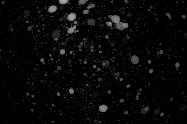 A snow on the black backgrounds