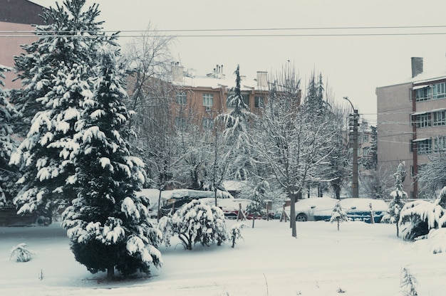 Snow cover in the residential neighborhood