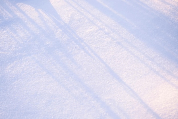 Snow covered background at sunset light