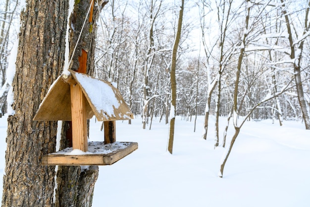 A snow covered bird house in winter