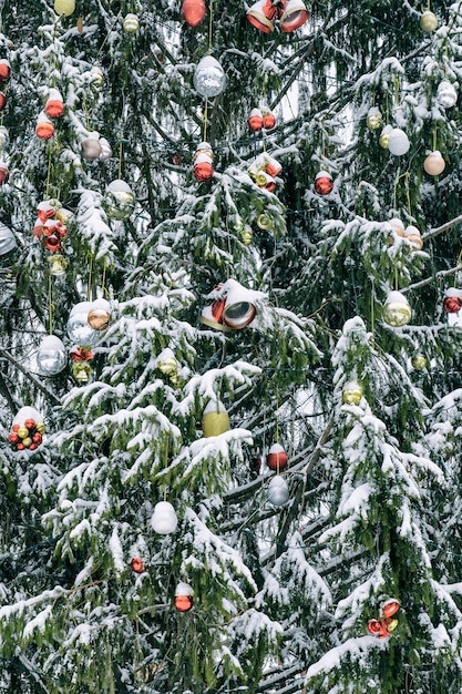 Snow-covered Christmas tree with decorations.