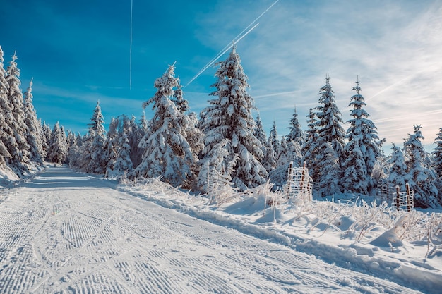 Snow covered field against sky