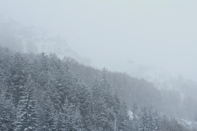 Photo snow covered landscape against sky during foggy weather