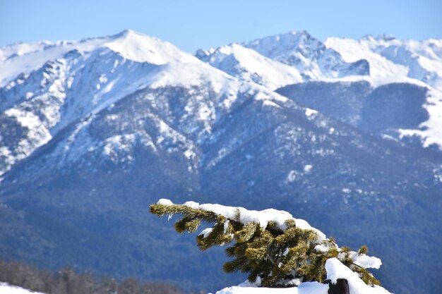 snow covered mountains in the background