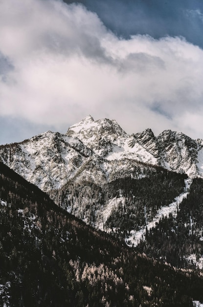 snow covered mountains