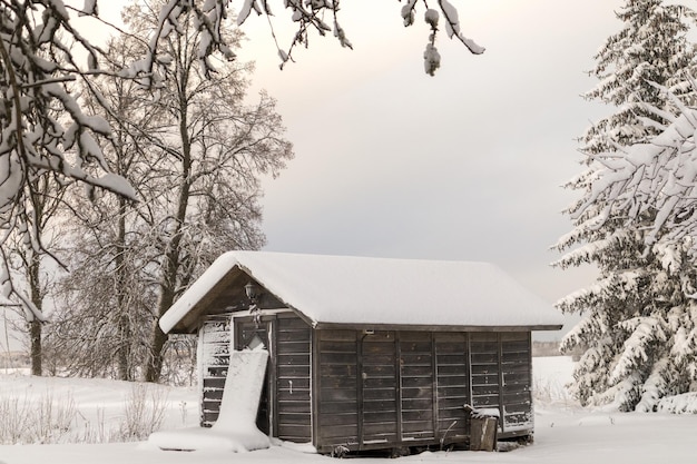 Snow covered tree branches on a winter day with a wooden house in the middle of the picture against