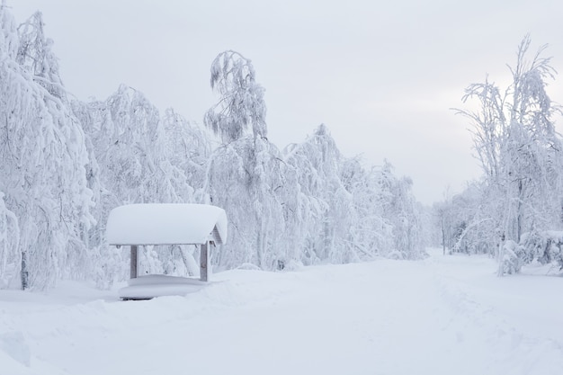 Snow-covered wooden gazebo with picnic table in a snowdrift after a heavy snowfall in a frosty winter park