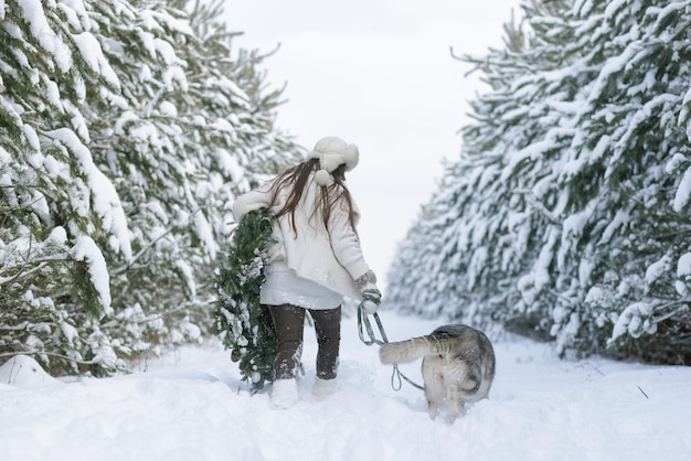 Snow dog Husky in the snow on the background of the forest snowy forest and dog