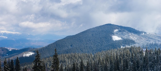 Snow forest in the mountains near cottages on a beautiful winter frosty day