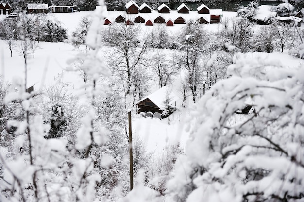 snow landscape