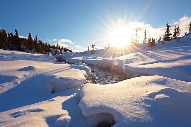 Snow Melting Beneath Warming Rays