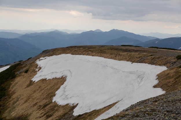 Snow melting slope Evergreen pines yellow Moss and lichen fungus on the stones in the mountains